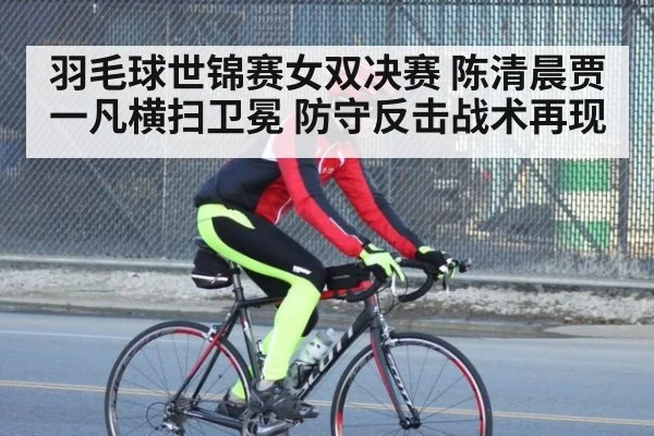 羽毛球世锦赛女双决赛 陈清晨贾一凡横扫卫冕 防守反击战术再现
